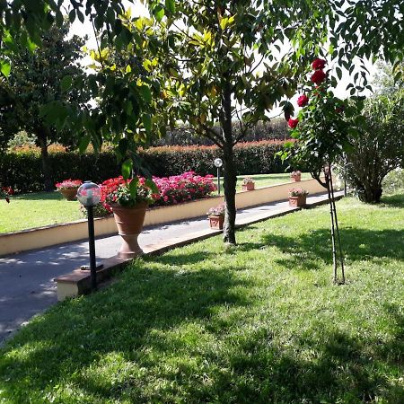 Villa Monica Πιστόια Εξωτερικό φωτογραφία