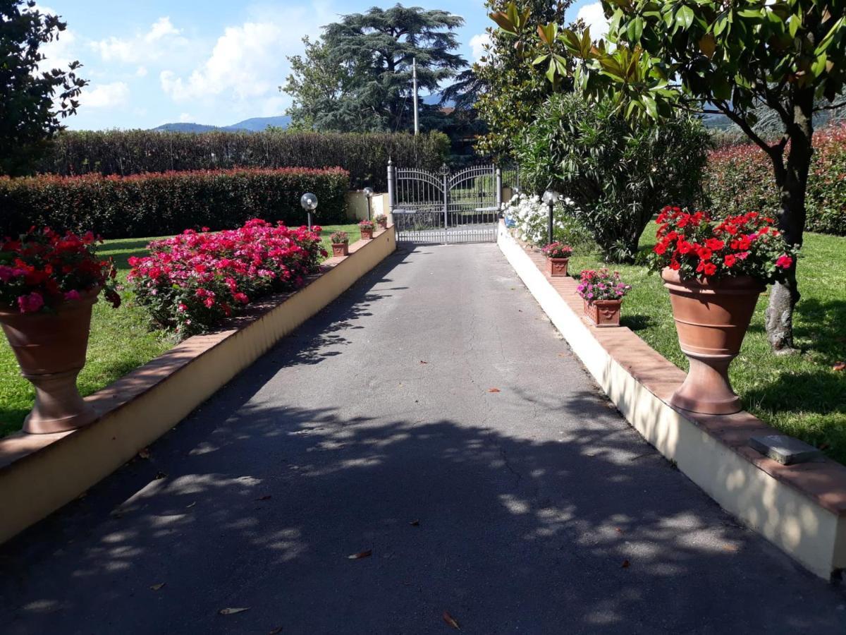 Villa Monica Πιστόια Εξωτερικό φωτογραφία